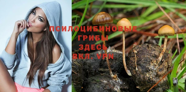 кокаин премиум Арсеньев